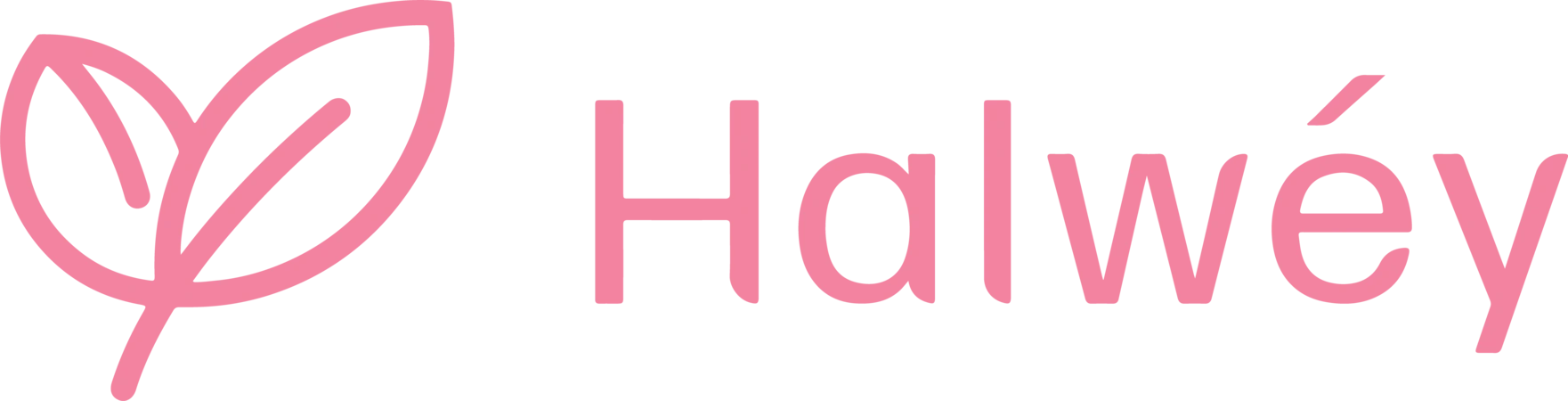 Halwey Official